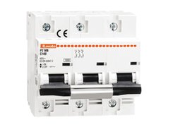 Miniature circuit breaker: 3 x 80, 100, 125 A 10 kA ( Type : C, D ). Lovato Electric